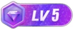 等级-LV5-映美视界
